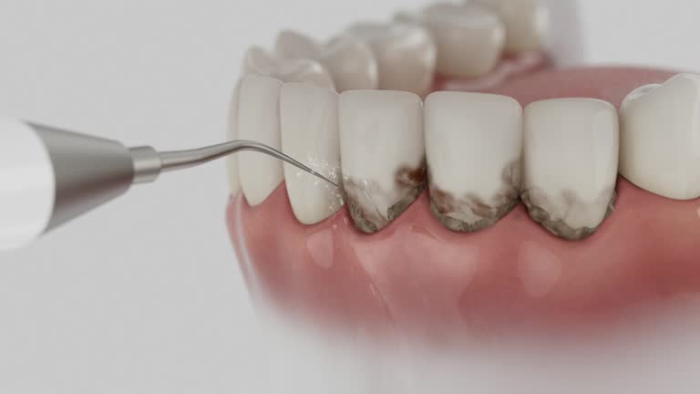 Reliable Dental contractor in Rio, VA by Dentist Open Now